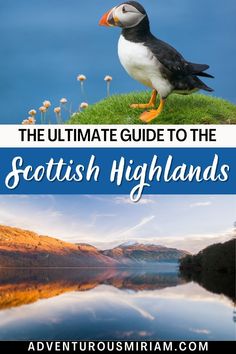 the ultimate guide to the scottish highlands with text overlays that reads the ultimate guide to the scottish highlands