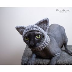 a cat wearing a knitted hat on top of a couch