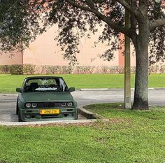 a green car parked next to a tree in a parking lot