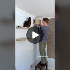 a man is standing on a step ladder and looking at a cat sitting on the ledge