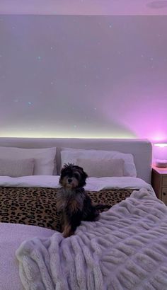 a small dog sitting on top of a bed in a room with white walls and purple lighting