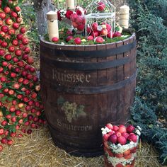 a wooden barrel filled with lots of fruit next to a bunch of trees and bushes