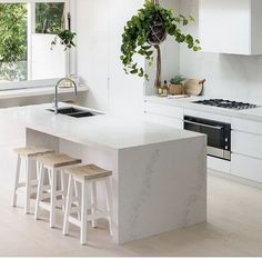 a kitchen island with stools next to it and a potted plant on the counter