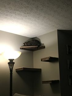 a cat laying on top of a shelf above a lamp in a room with gray walls