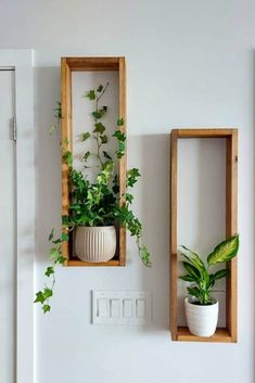 two wooden boxes with plants in them on the wall