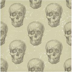 a wallpaper with skulls on it in grey and beige colors, as well as an old - fashioned background