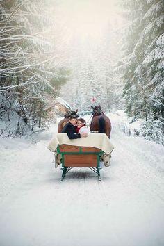 two people riding in a sleigh pulled by horses