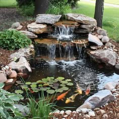 a pond with rocks, water lilies and fish in it is surrounded by trees