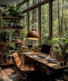 a home office with lots of plants in the window