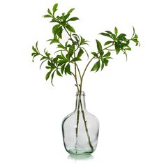 a glass vase filled with green leaves on top of a table