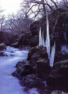 the water is running down the rocks in the stream that runs through the woods and has icicles on it