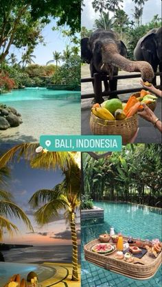 Bali Vision Board, World Traveler Aesthetic, Bali Travel Aesthetic, Family Trip Aesthetic, Bali Pictures, Summer Travel Aesthetic