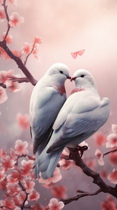 two white birds sitting on top of a tree branch with pink flowers in the background