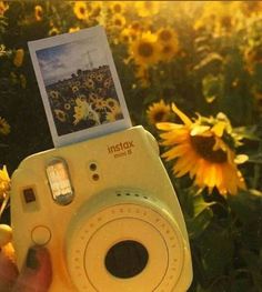 a person holding up a camera with sunflowers in the background