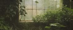 an old window is surrounded by greenery