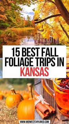 15 Best Fall Foliage Trips in Kansas Places To See In Kansas, Missouri Fall Foliage Road Trip, Kansas Road Trip Places To Visit, Kansas Photography, Travel Missouri, Things To Do In Fall, City Activities