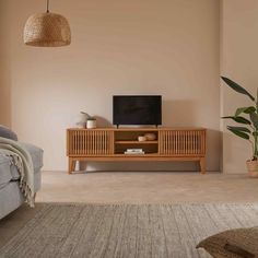 a living room with a couch, television and potted plant on the side table