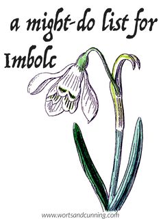 an image of a flower with the words, a might do list for imbolc