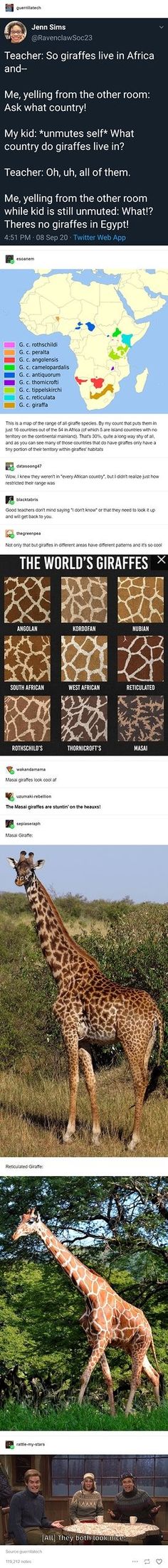 an image of different types of animals in the wild with text below it that reads,