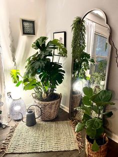 Living Room Plants Decor, Tumblr Room Decor, Large Indoor Plants, Flat Decor, Living Room Plants, Living Room Corner, Room Corner, House Plants Decor