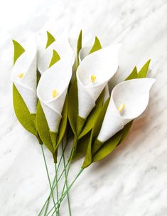 white calla lilies with green stems on a marble surface