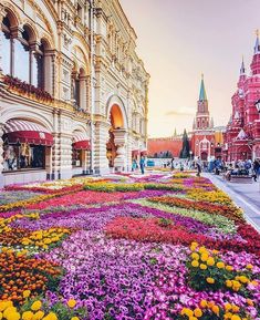 colorful flowers in the middle of a city street