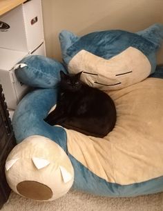 a black cat laying on top of a blue and white stuffed animal bed next to a dresser