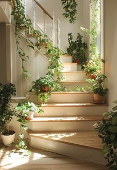 some plants are growing on the stairs