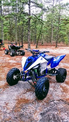 two atvs parked in the woods with trees and grass behind them, one is blue and white