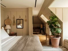 a bed sitting under a window next to a potted plant on top of a wooden floor