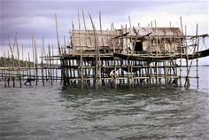 a house built on stilts in the water with no roof or walls, surrounded by wooden poles