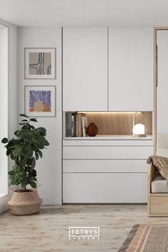 a bedroom with white walls and wooden flooring has a plant in front of the bed