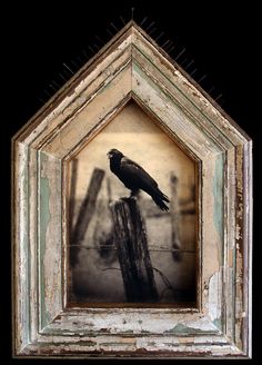 a black bird sitting on top of a wooden post in front of a dark background