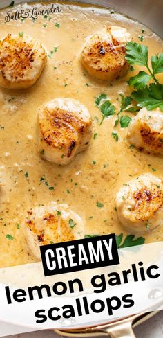 creamy lemon garlic scallops with parsley in a white sauce on a plate