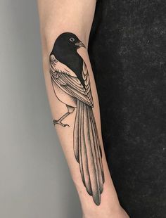 a black and white bird tattoo on the right arm, with an arrow in it's beak