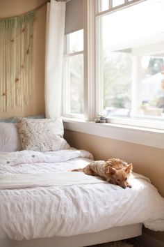 a dog laying on top of a white bed in a bedroom next to a window