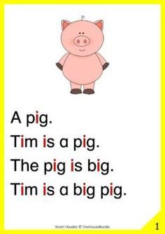 a pig is sitting in front of a yellow frame with the words tim is a big pig