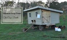 chicken coop tour the tiny barn on wheels with chickens around it and an old sign