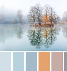 an image of a lake with trees in the background and color swatches on each side