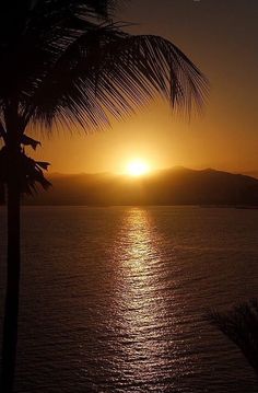 the sun is setting over the ocean with palm trees