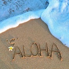 the word aloha written in the sand at the beach with a flower on it