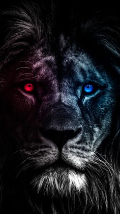 Lion Lion Hd Wallpaper, Lion Wallpaper Iphone, Drawings Wallpaper, Lion Eyes, Be A Warrior, Lion Painting, Lion Images