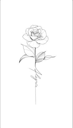 a black and white drawing of a rose with the word love written in cursive writing