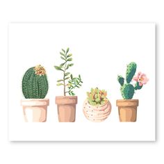 three potted cactus plants in different sizes and shapes