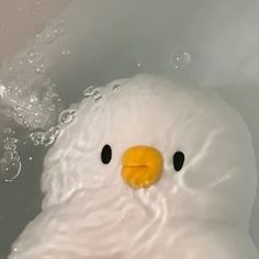 a close up of a white bird with bubbles in the water around it's head