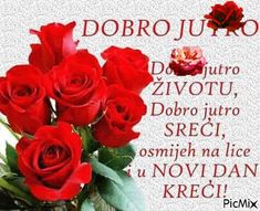 a bouquet of red roses sitting on top of a table next to a sign that says dobro jujo