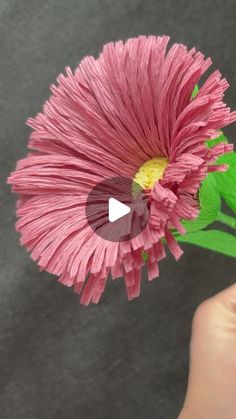 a pink flower being held by someone's hand