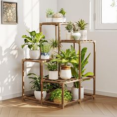 several potted plants are arranged on wooden shelves in the corner of a white room