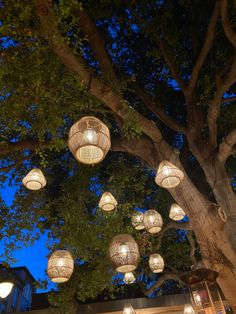 lanterns hanging from the branches of a tree at night in front of a building with lights on it