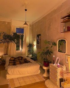 a bedroom with a bed, plant and other items in it's corner area